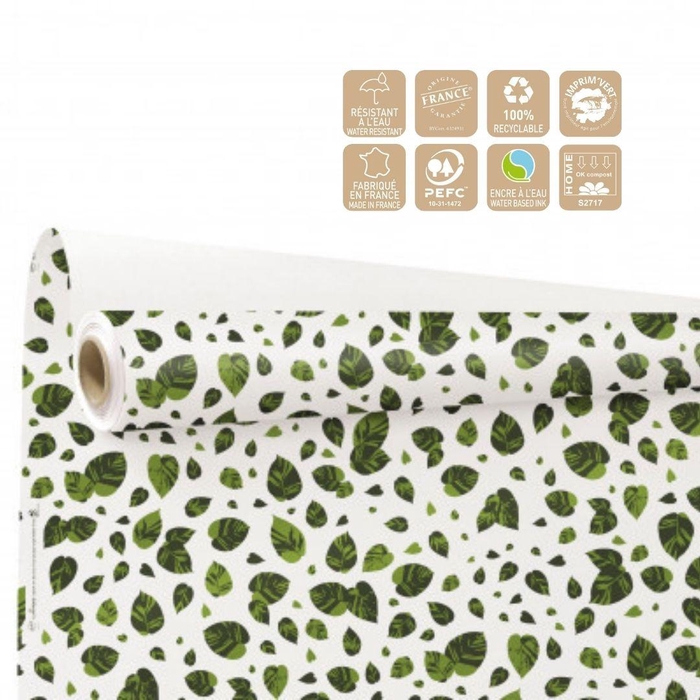 <h4>Paper Roll 80cm 25m Eco Lina</h4>