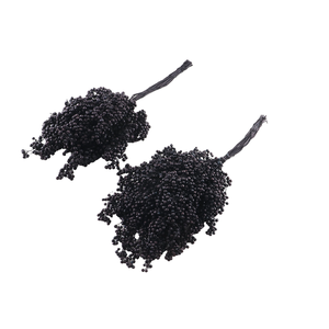 Pepperberry Black