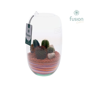 Green Bottle Isabella Medium met zand arrangement