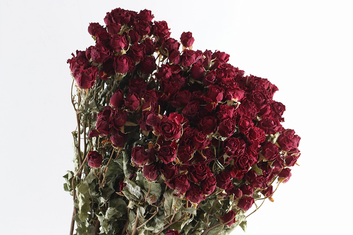 Roses Spray Red Natural