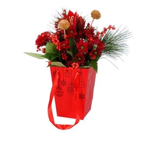 Bag Baubles cardboard 16x12H22cm red 10/bag