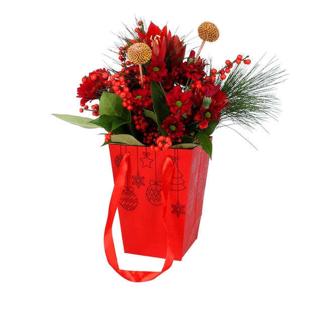 <h4>Bag Baubles cardboard 16x12H22cm red 10/bag</h4>