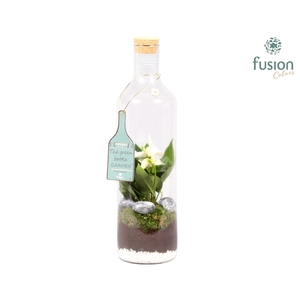 Green Bottle Fles Large met Anthurium