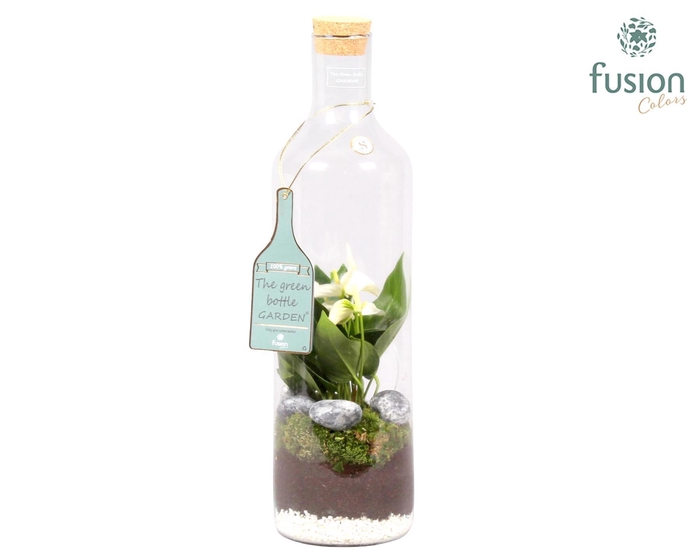 <h4>Green Bottle Fles Large met Anthurium</h4>