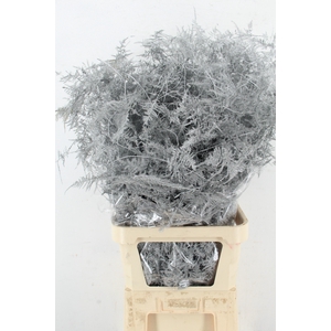 Asp IT L.Getopt Zilver