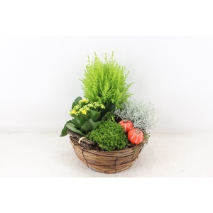 arr4 Outdoor VL - Riet mand rond