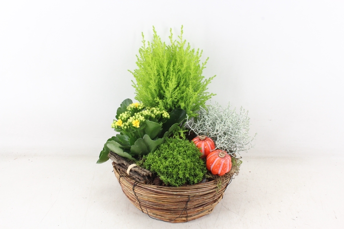 <h4>arr4 Outdoor VL - Riet mand rond</h4>