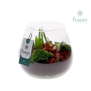 Green Bottle Abby Medium met Bollen mix