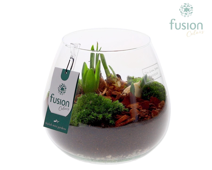 <h4>Green Bottle Abby Medium met Bollen mix</h4>