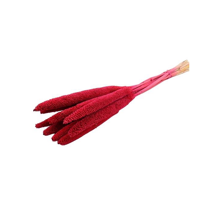 <h4>Bunch Babala 10pcs Sleeved L-65</h4>