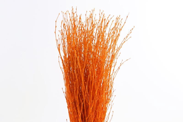 <h4>Berk Klb Orange</h4>