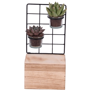 Succulent Metal Stand with Glass on Wood 15 cm 2PP