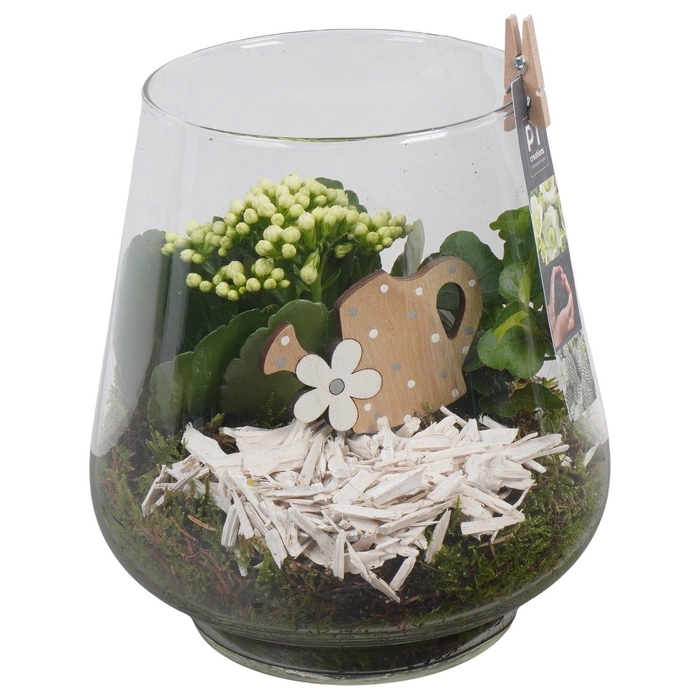 <h4>Arr.   Planten L%</h4>