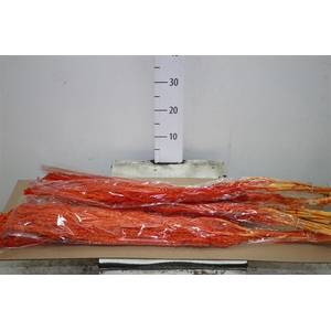 Dried Amaranthus Orange