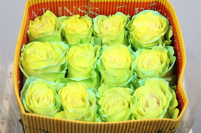 <h4>R Gr Citrus Lemon Neo Ec</h4>