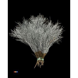 Vaccinium / Heidelbeer Metallic Light Blue