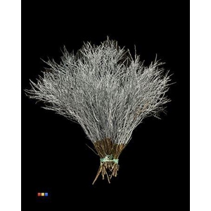 Vaccinium / Heidelbeer Metallic Light Blue