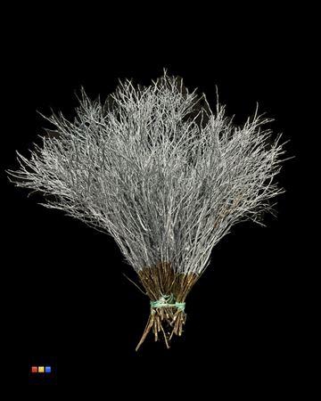 <h4>Vaccinium / Heidelbeer Metallic Light Blue</h4>