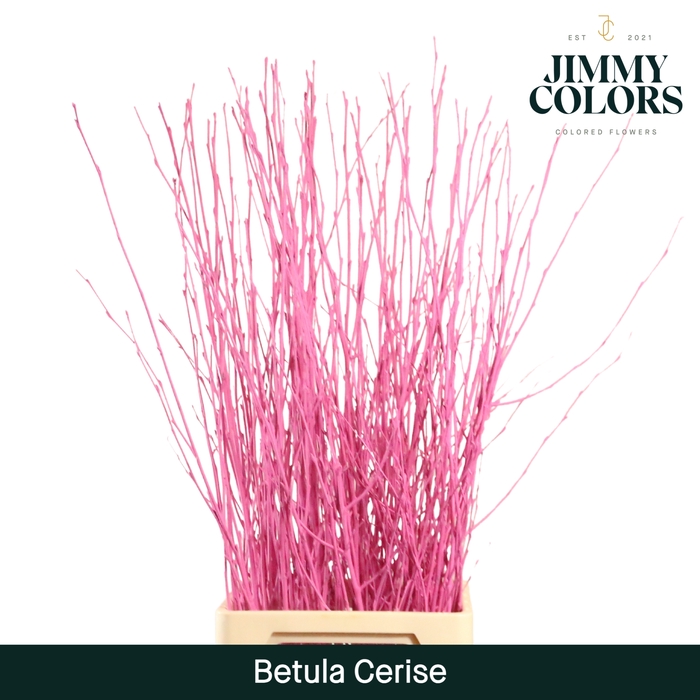 <h4>Betula L120 Cerise</h4>