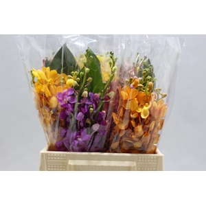 Dendro Bqt Mix Mokara 3 Tak