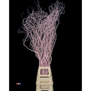 Salix 130cm Light Pink