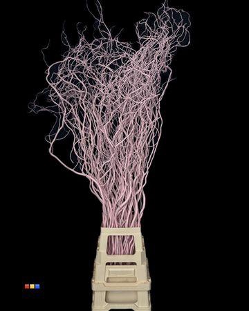 <h4>Salix 130cm Light Pink</h4>