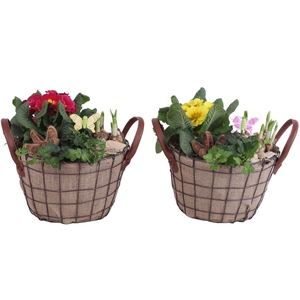 Early Spring Arr. Outdoor Metal Wire Basket Jute Ø24cm 3PP
