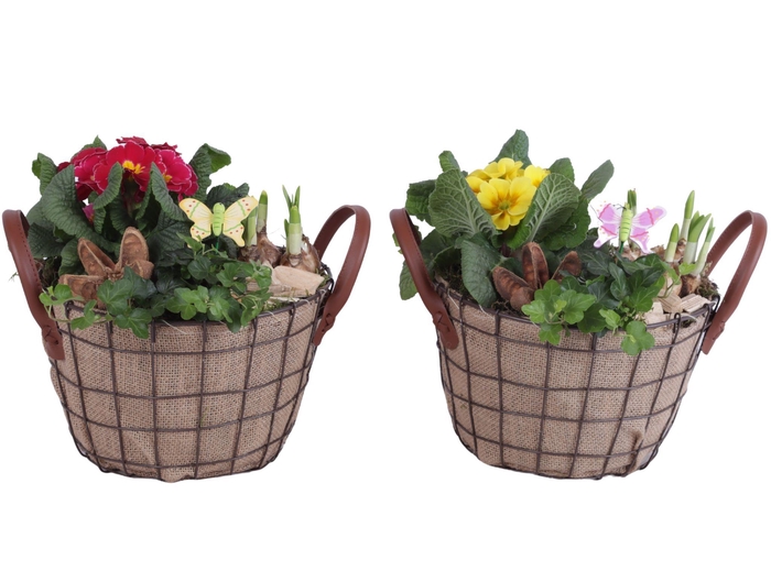 <h4>Early Spring Arr. Outdoor Metal Wire Basket Jute Ø24cm 3PP</h4>