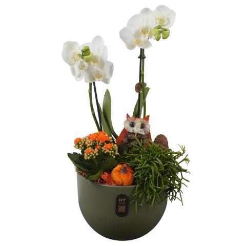 <h4>PTHI3234 Arrangement Autumn Indoor in keramiek pot</h4>