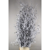 Betula met Blad White Wash