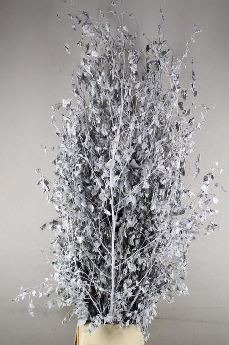 Betula met Blad White Wash