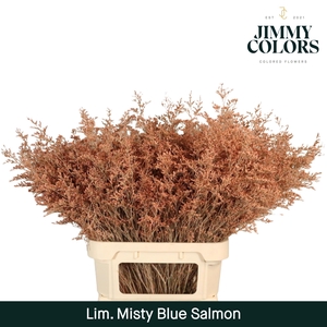 Lim Misty Blue L90 Salmon
