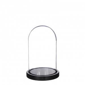 Glass Cloche Wood d12/14*22cm