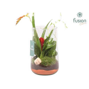 Green Bottle Deline Large met Bromelia