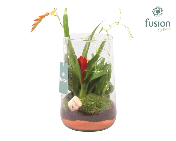 <h4>Green Bottle Deline Large met Bromelia</h4>