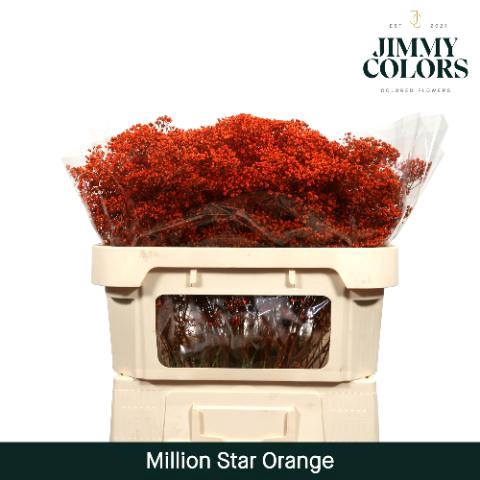 <h4>Gyps Million Star L70 Orange</h4>