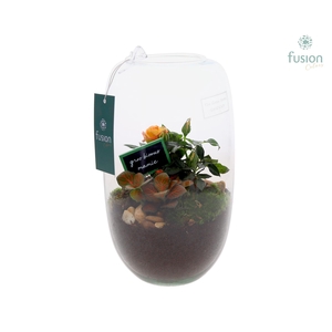 Green Bottle Isabella Medium Grootmoederdag met arrangement