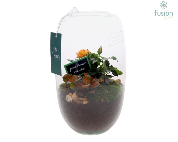 <h4>Green Bottle Isabella Medium Grootmoederdag met arrangement</h4>