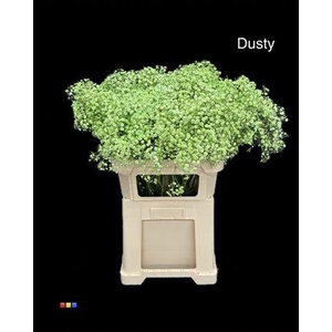 Gyps Xlence Dusty Green