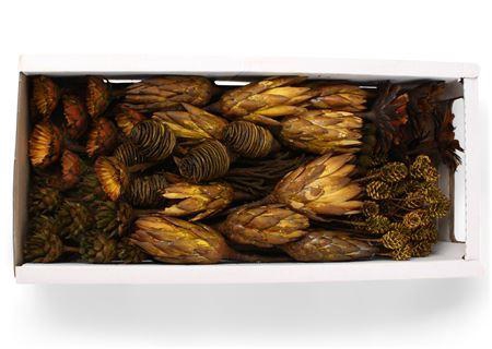 <h4>Exotic Assorti Antique Moss</h4>