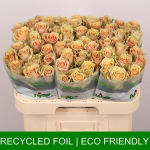 R GR CARAM MACCHIATO