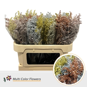 Solidago Kerst Metallic Mix