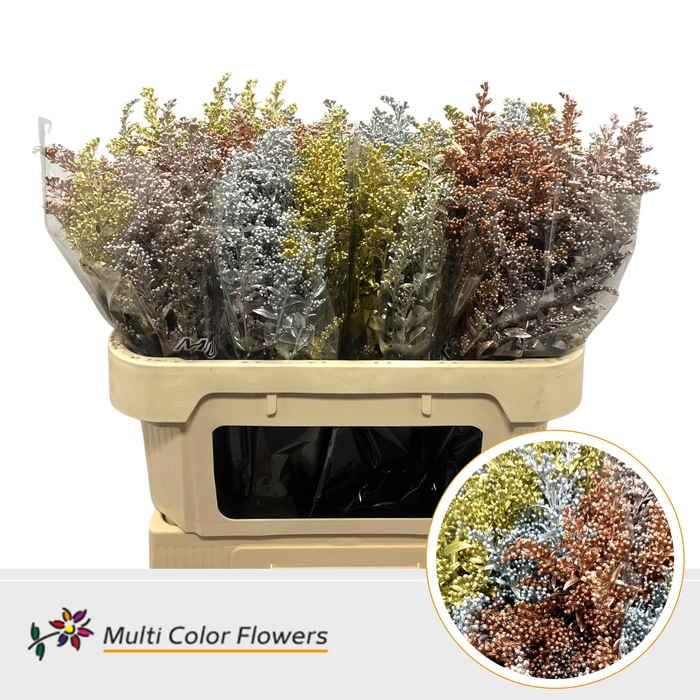 <h4>Solidago Kerst Metallic Mix</h4>