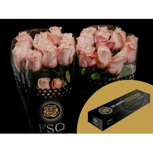 R GR Pomarosa Box