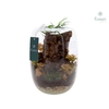 Arrangementen kamerplanten groen H% glasvaas FC-23.0451FDH