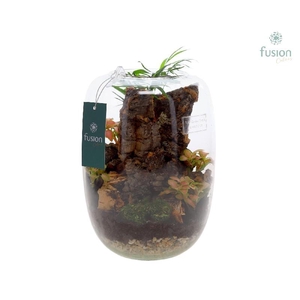 Arrangementen kamerplanten groen H% glasvaas FC-23.0451FDH