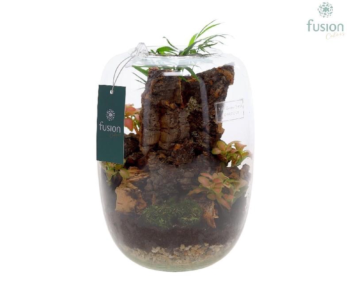 Arrangementen kamerplanten groen H% glasvaas FC-23.0451FDH
