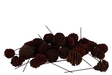 <h4>Pick Nature Plug Murri Brown P/100</h4>