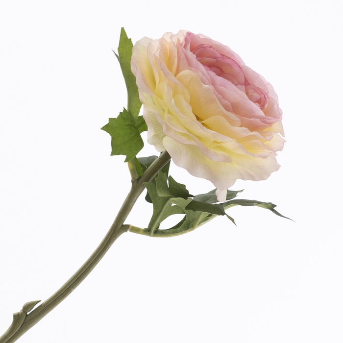 <h4>Ranunculus Coral FL440352COR</h4>