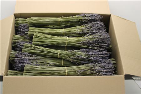 Lavendel Droog X40 100gr